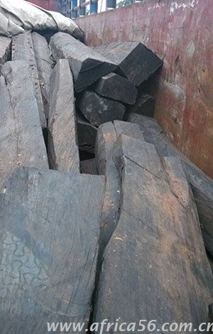 旭洲物流作為深耕非洲海運(yùn)22年的物流專家，擁有多年各類貨物進(jìn)出口經(jīng)驗(yàn)，操作精煉，專業(yè)服務(wù)，為您全面梳理厚瓣烏木進(jìn)口的注意事項(xiàng)