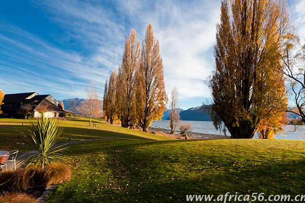 旭洲物流為您分析企業(yè)為何在南非受挫嚴重 