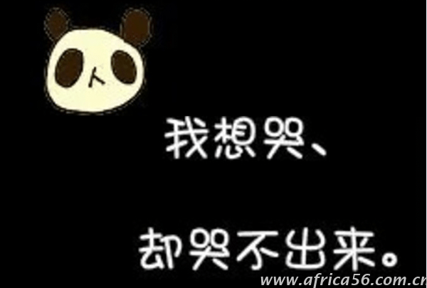 年關(guān)將至，查驗(yàn)率飆升，今天，你被查了嗎？_旭洲物流