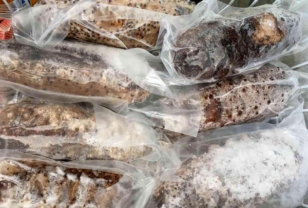 凍品類進(jìn)口所需資料_非洲海運(yùn)_旭洲物流